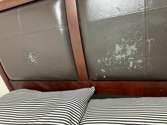Moving Sale - Brampton - Contact ASAP. Everything Should go - photo 4