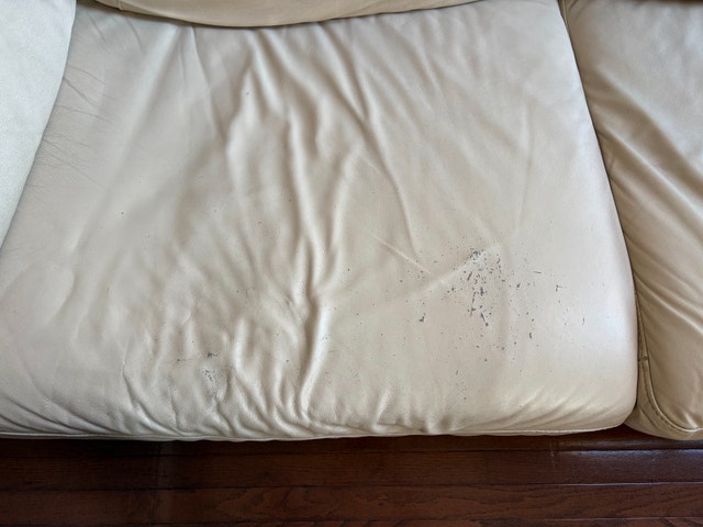 Moving Sale - Pick up ASAP - photo 2