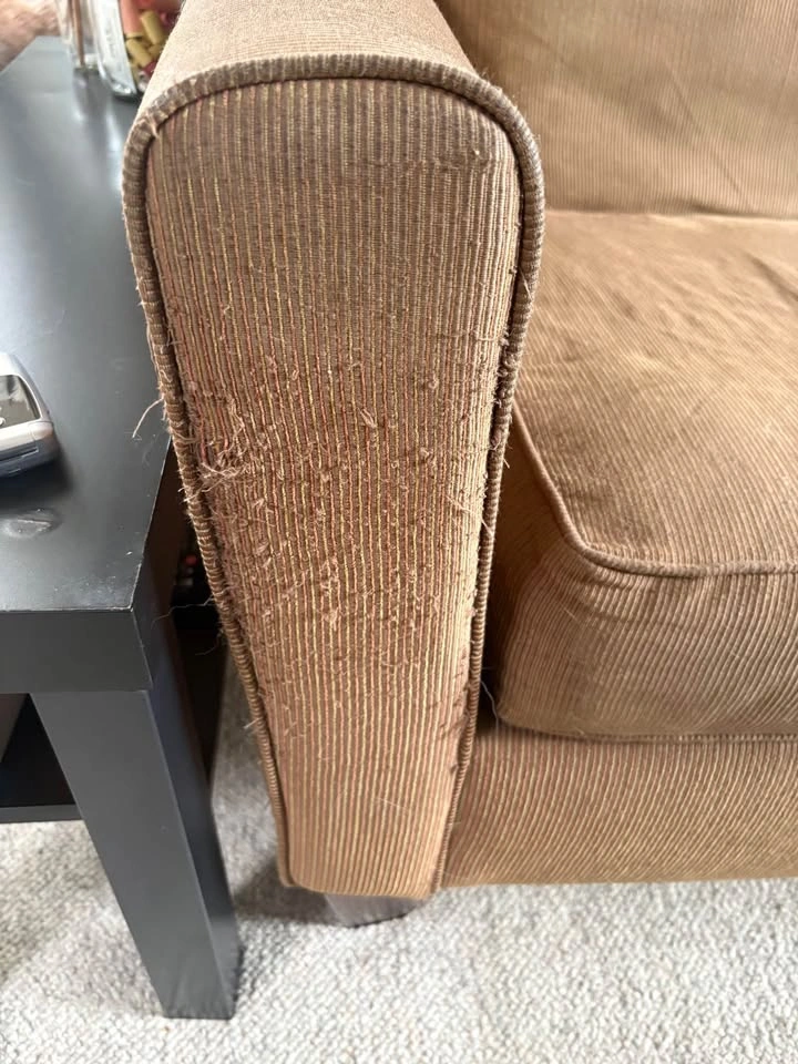 FREE Couch - photo 3