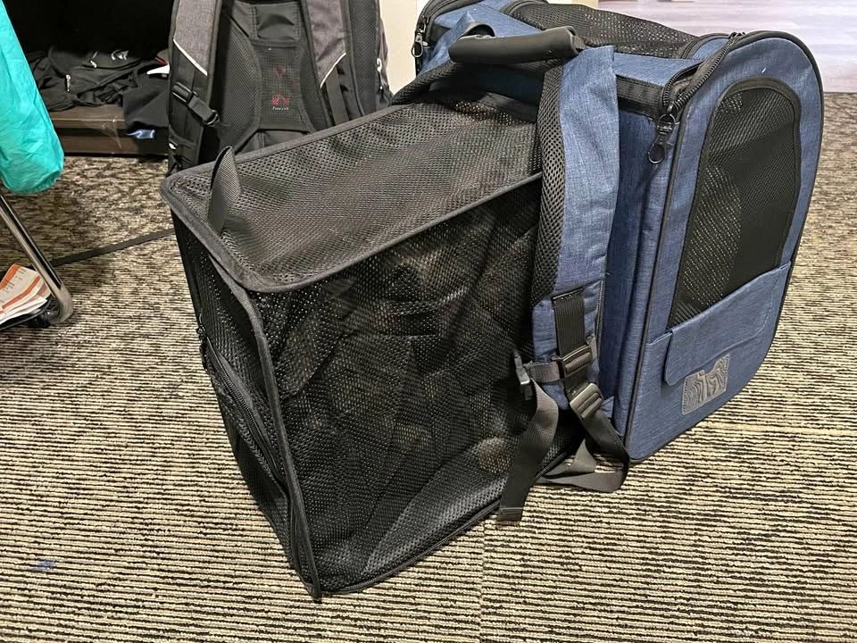 Cat Backpack (expandable)