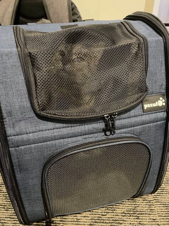 Cat Backpack (expandable) - photo 2