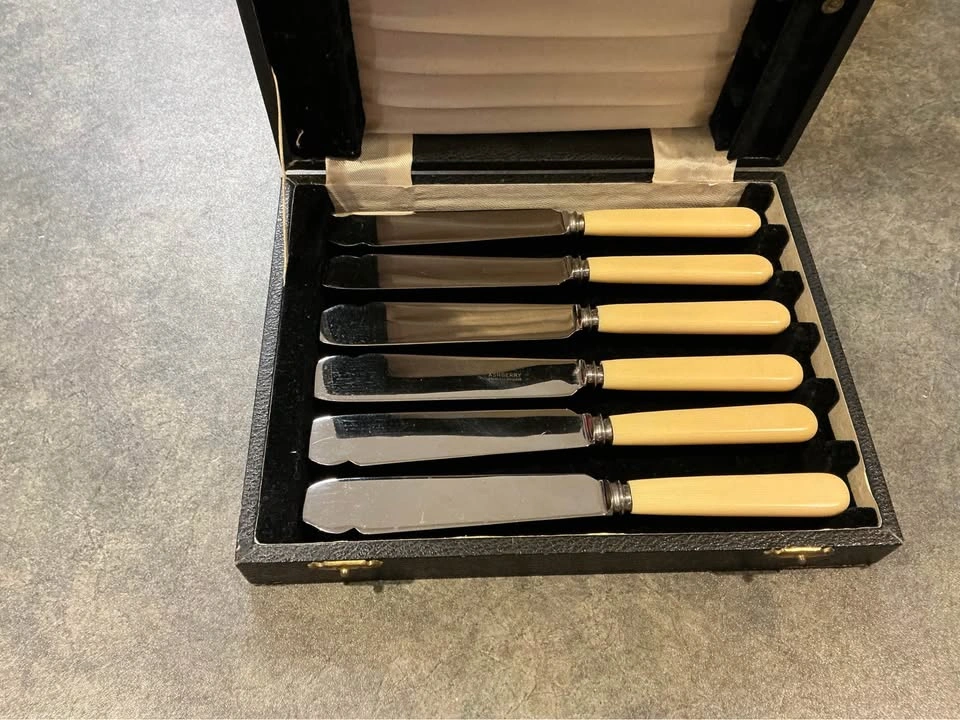 Vintage Ashberry 12 Pc Cutlery Set w/ Cream Handles & Case - photo 3