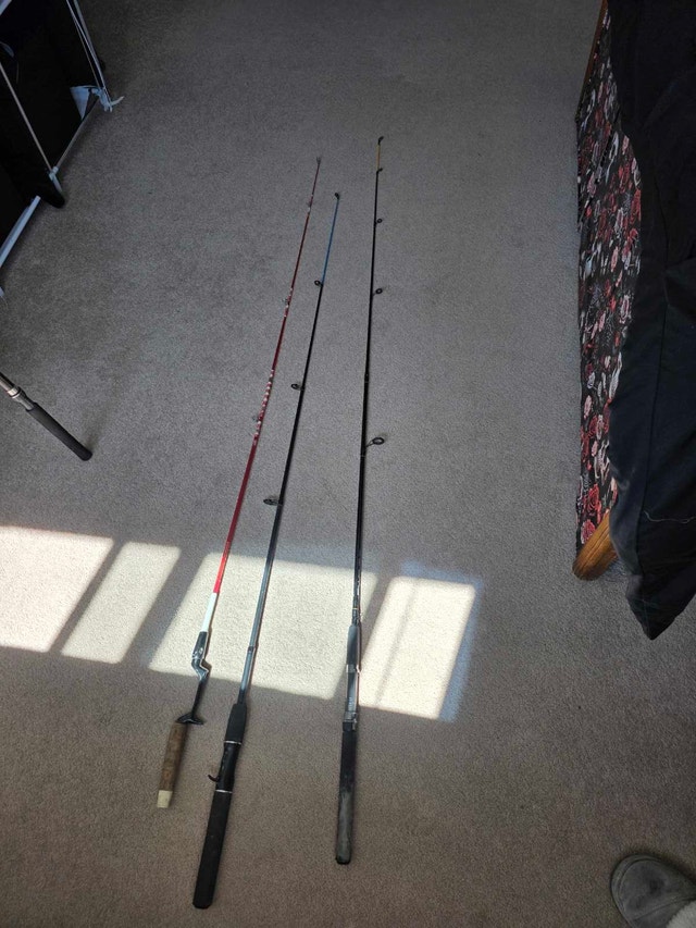 Fishing Rods - photo 2
