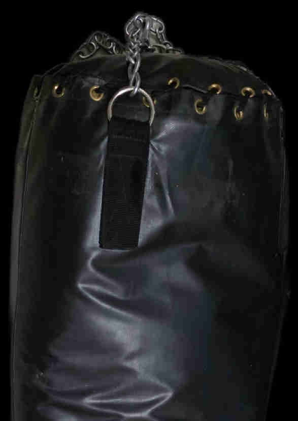 Everlast Punching Bag - Great Condition