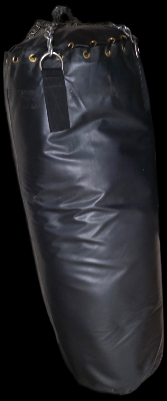 Everlast Punching Bag - Great Condition - photo 3