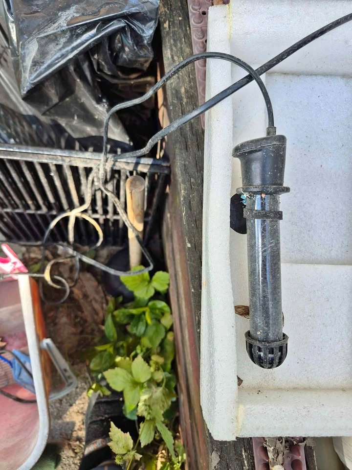 Heater for fish water tank