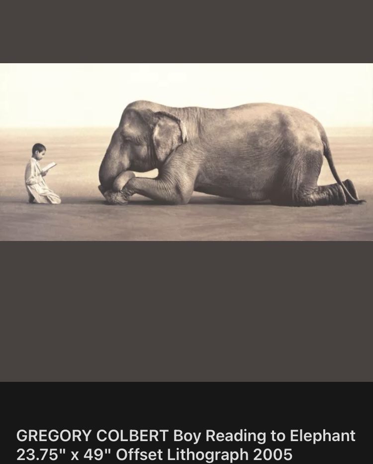 Gregory Colbert Boy Reading To Elephant Framed Print