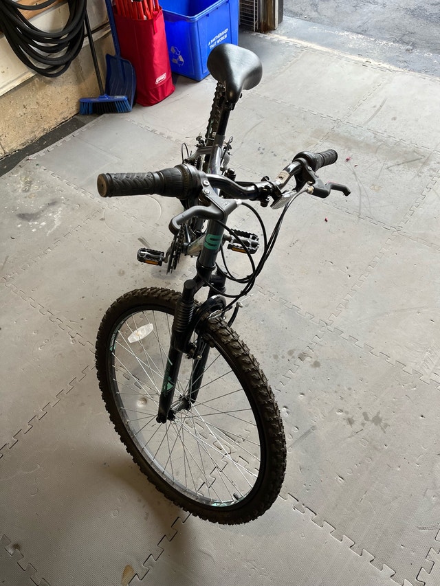 Supercycle Nitro Bike - photo 2
