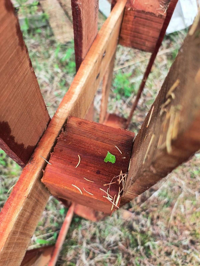 Rare Red Oak Skid Pallet (1 year old) - photo 2