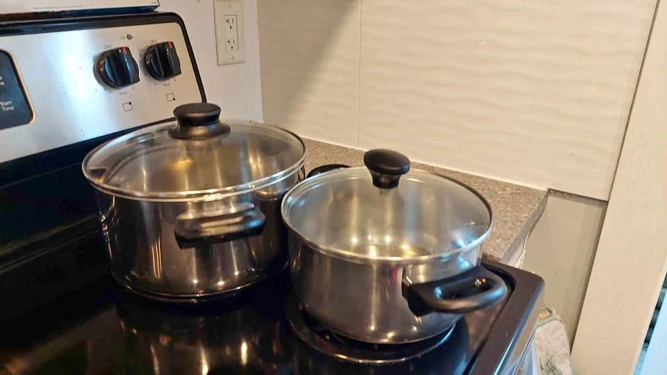 2 Stainless Steel Pots with Glass Lids