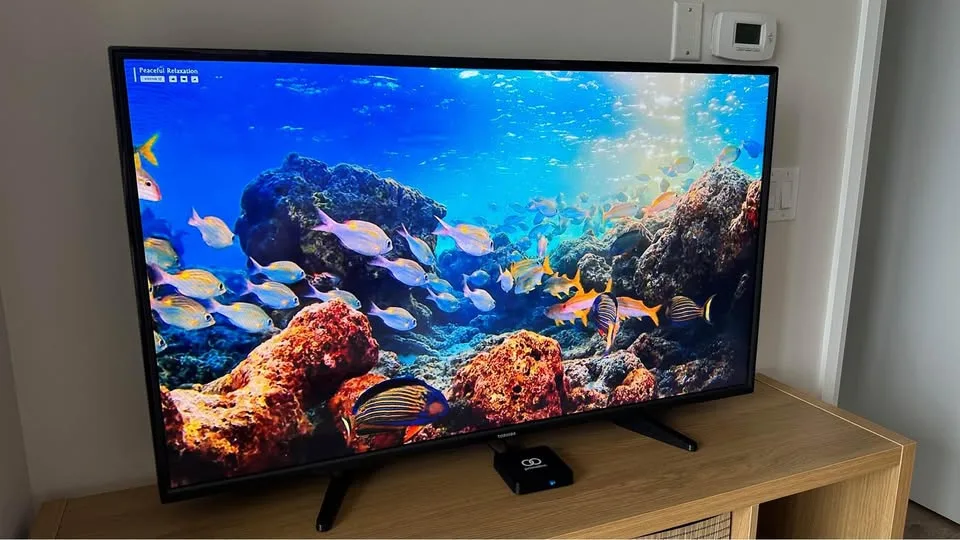 49" TV - Please read description image indicator(2)