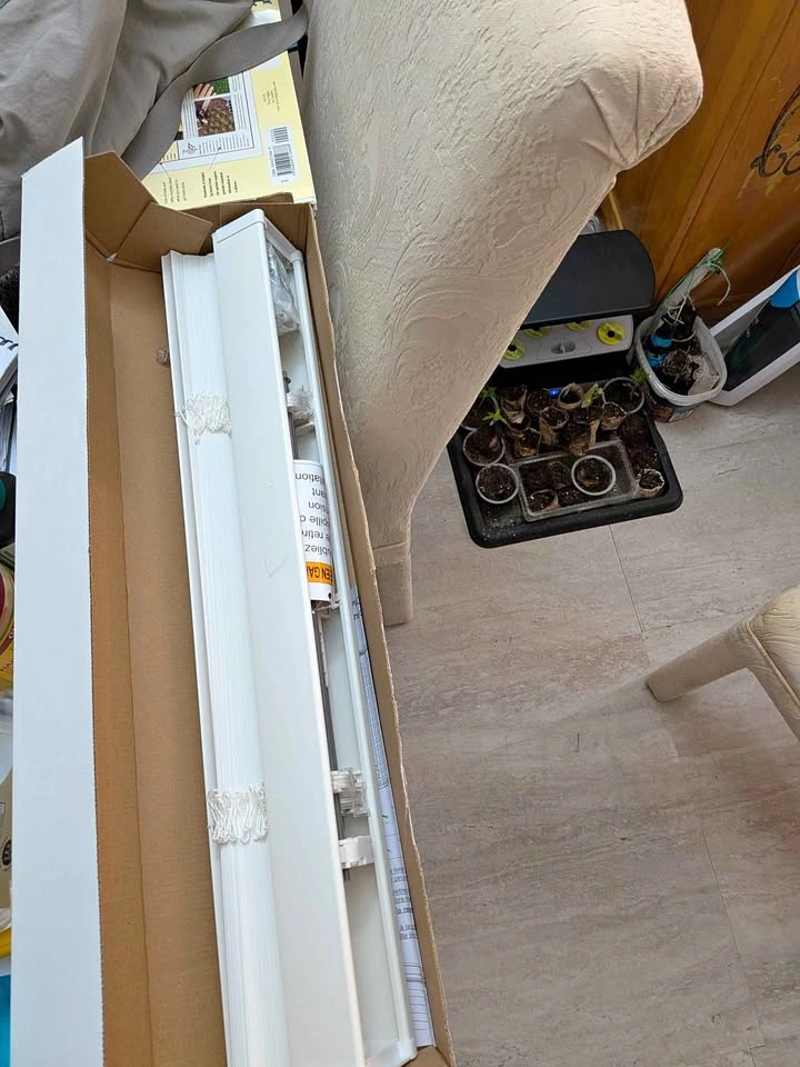 2 ft by 4 ft window blinds white $10