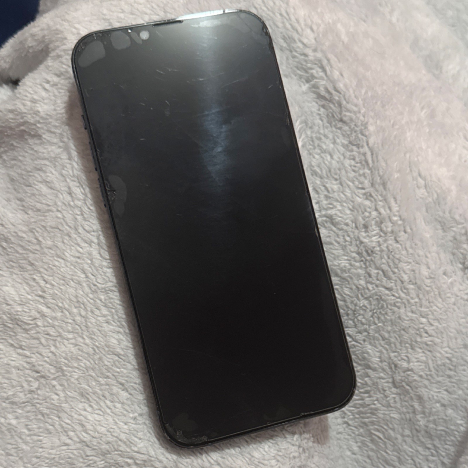 Apple iPhone 13 Pro Max Sierra Blue - photo 2