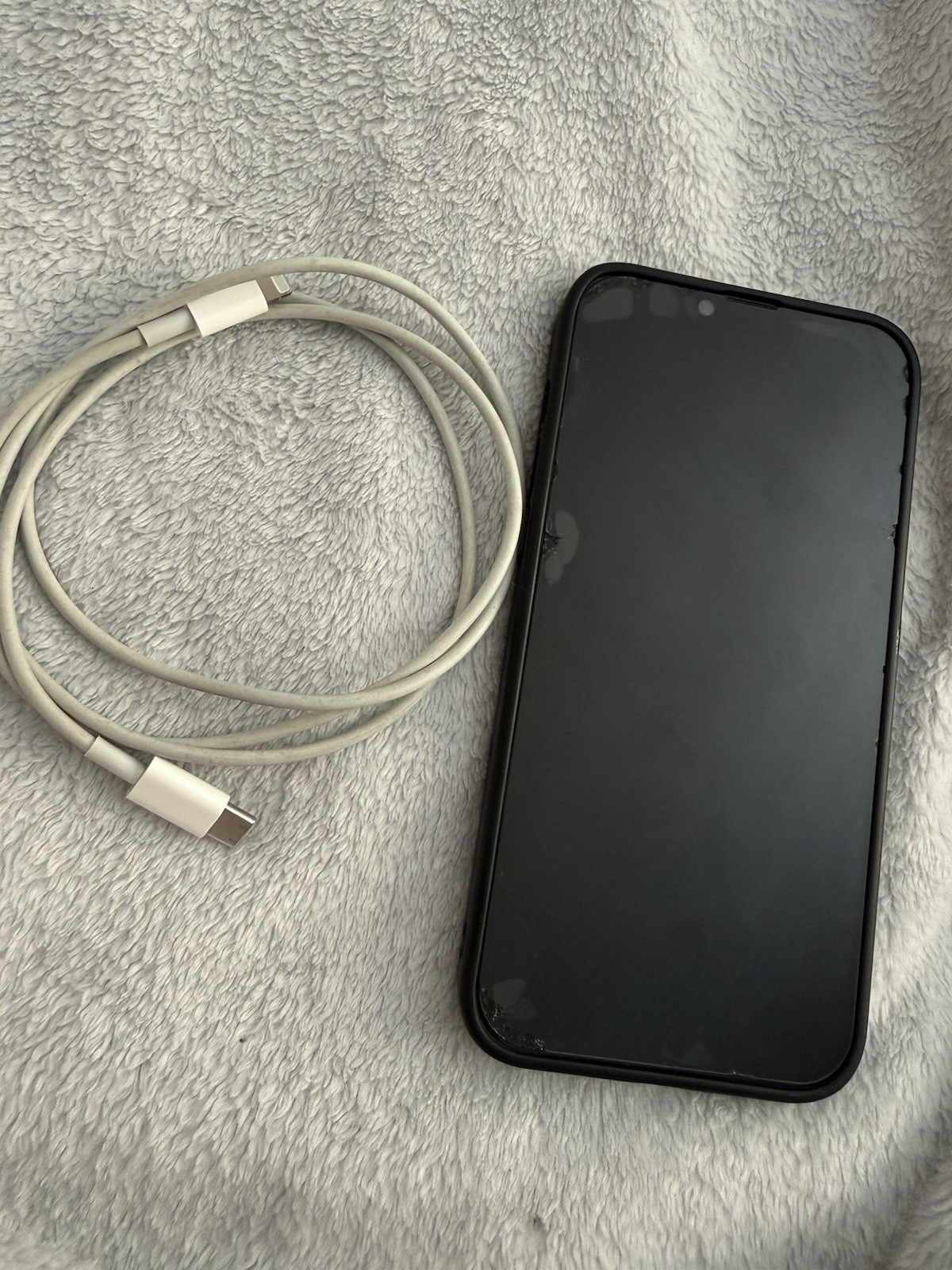 Apple iPhone 13 Pro Max Sierra Blue - photo 3