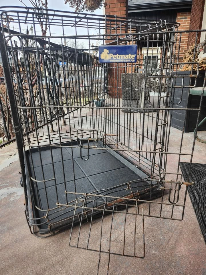 Petmate Foldable Dog Crate 22.5" x 36" x 25" - photo 2