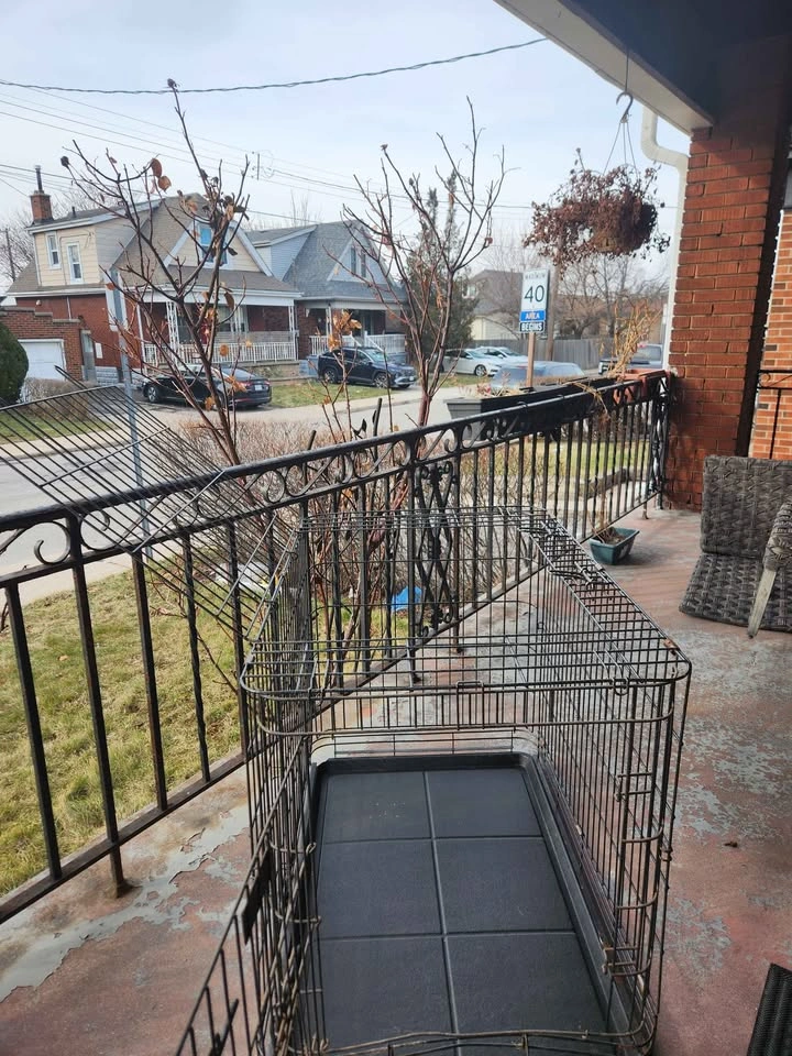 Petmate Foldable Dog Crate 22.5" x 36" x 25" - photo 3
