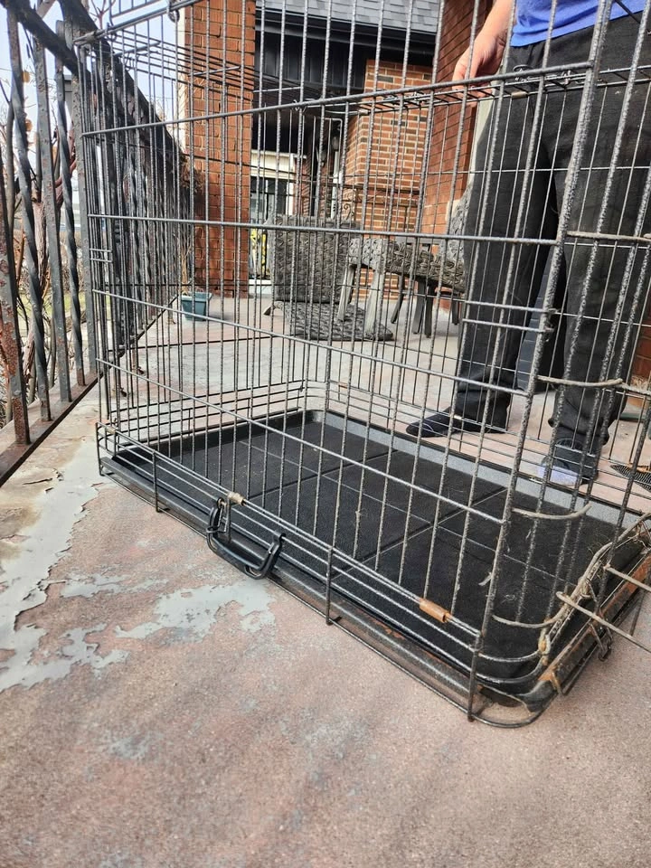 Petmate Foldable Dog Crate 22.5" x 36" x 25" - photo 4