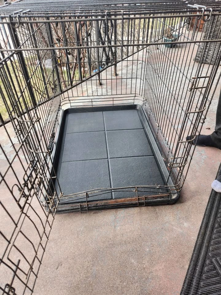 Petmate Foldable Dog Crate 22.5" x 36" x 25" - photo 5
