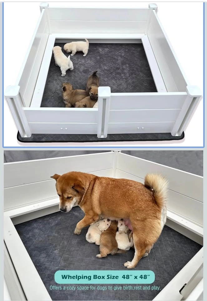 Whelping Box for Dogs, 48x48x18in, with Pig Rails & Pad - photo 3