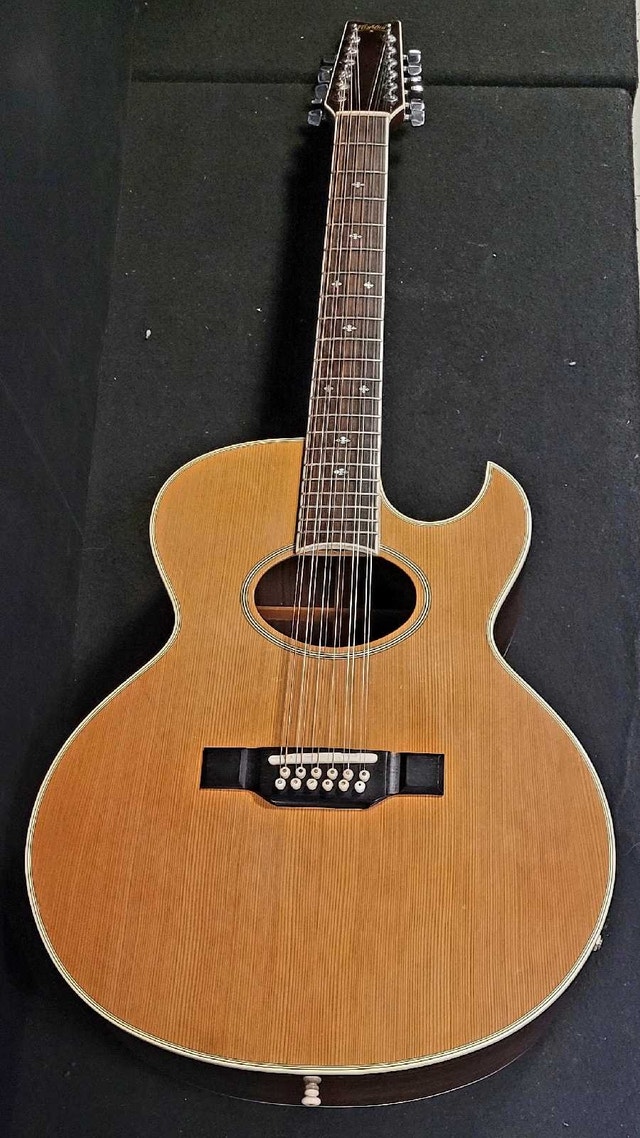 Washburn Tanglewood 12 Acoustic Guitar