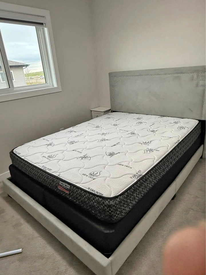 Queen Bed with Free Box Spring