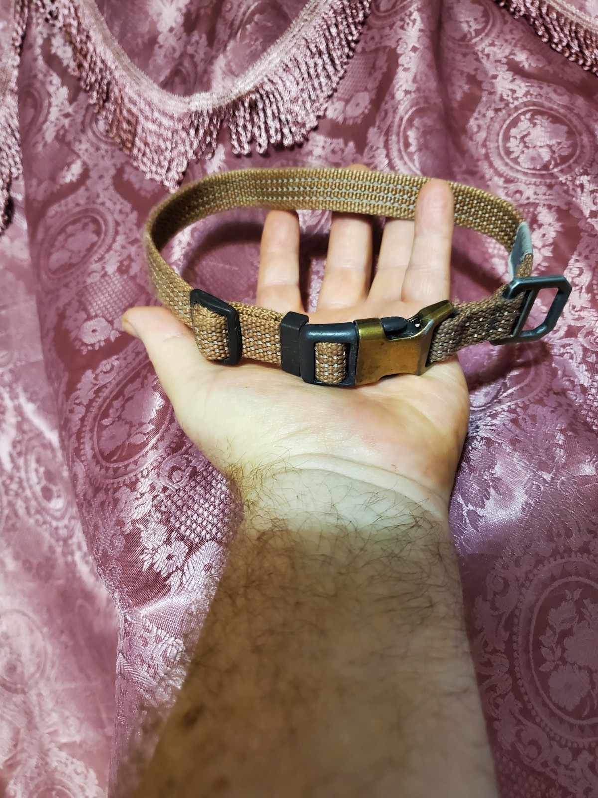 Adjustable Brown Woven Nylon Dog Collar with Metal Buckle