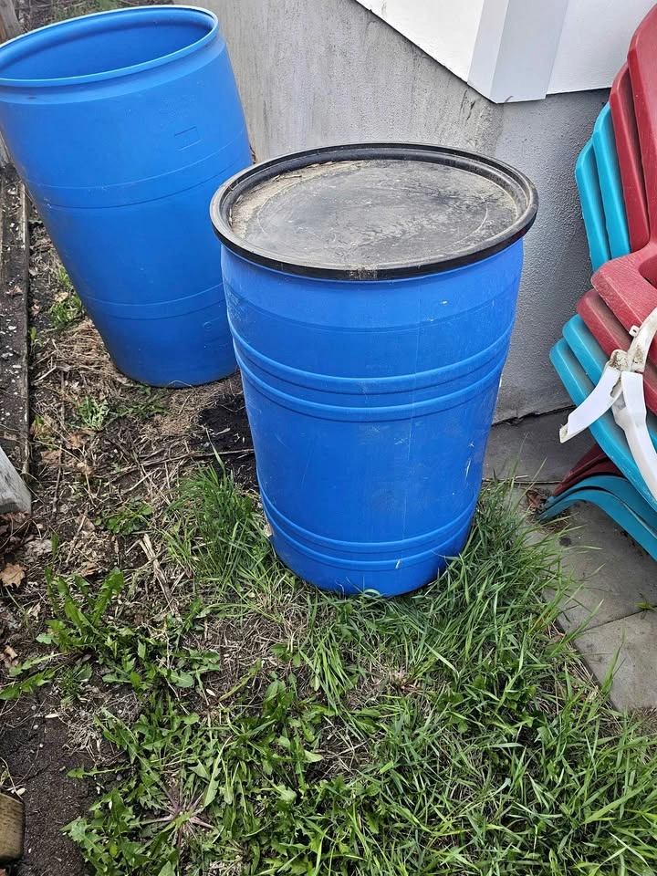 Rain Barrel