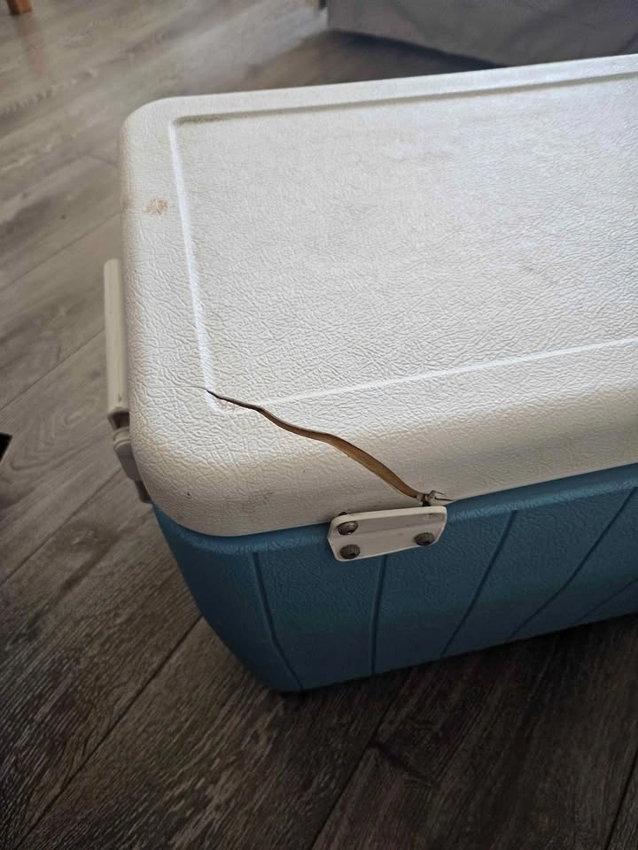 Coleman Icebox Cooler 48 Quart - photo 3