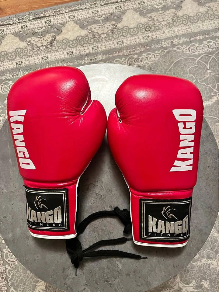 12 oz boxing gloves $200 OBO