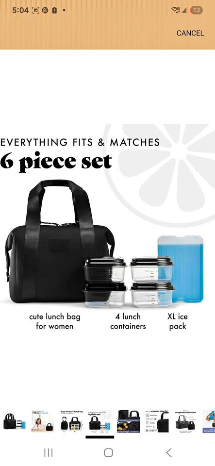 Lunch bag for women