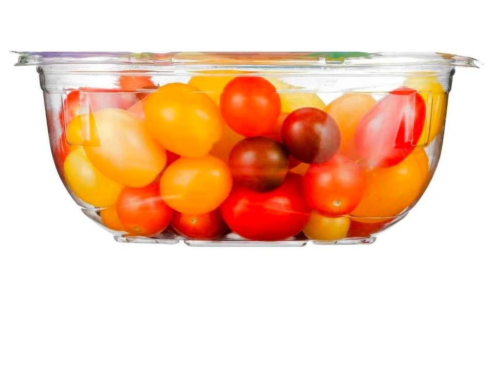 $1 or PWYC Organic Cherry Tomato Plant Starters - photo 3