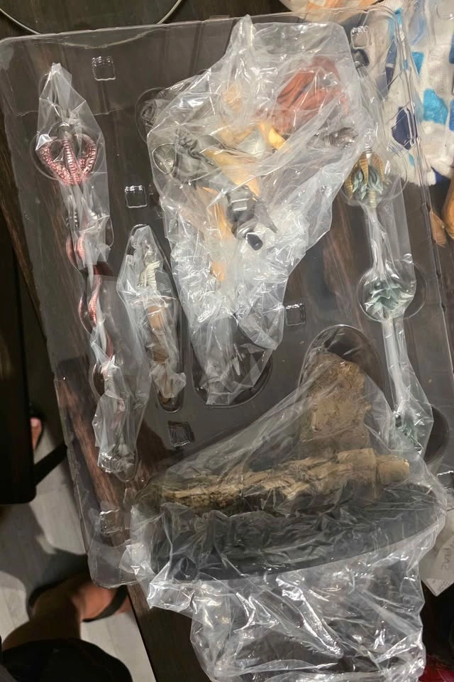 Anime Figures for Sale - 1/6 Orca Toys - photo 3