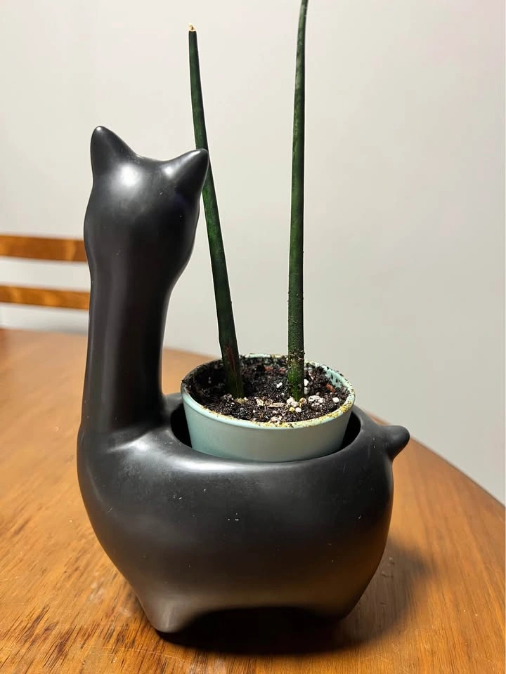 Llama planter for succulents - photo 2