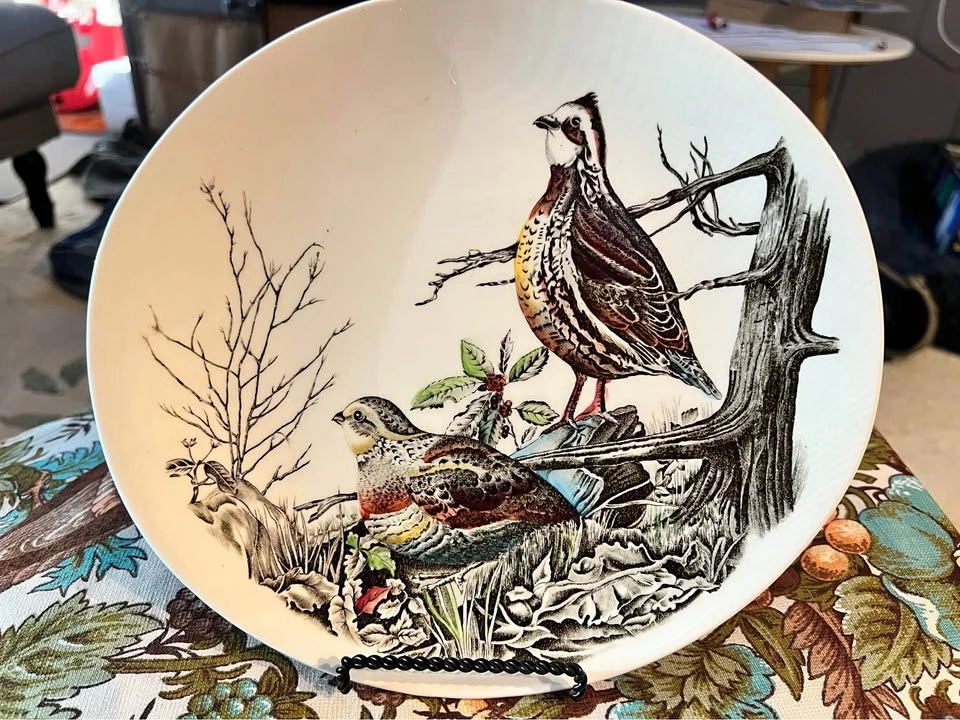 Vintage Quail Ironstone Johnson Brothers Oval Collectors Plate