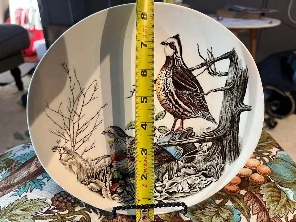 Vintage Quail Ironstone Johnson Brothers Oval Collectors Plate - photo 3