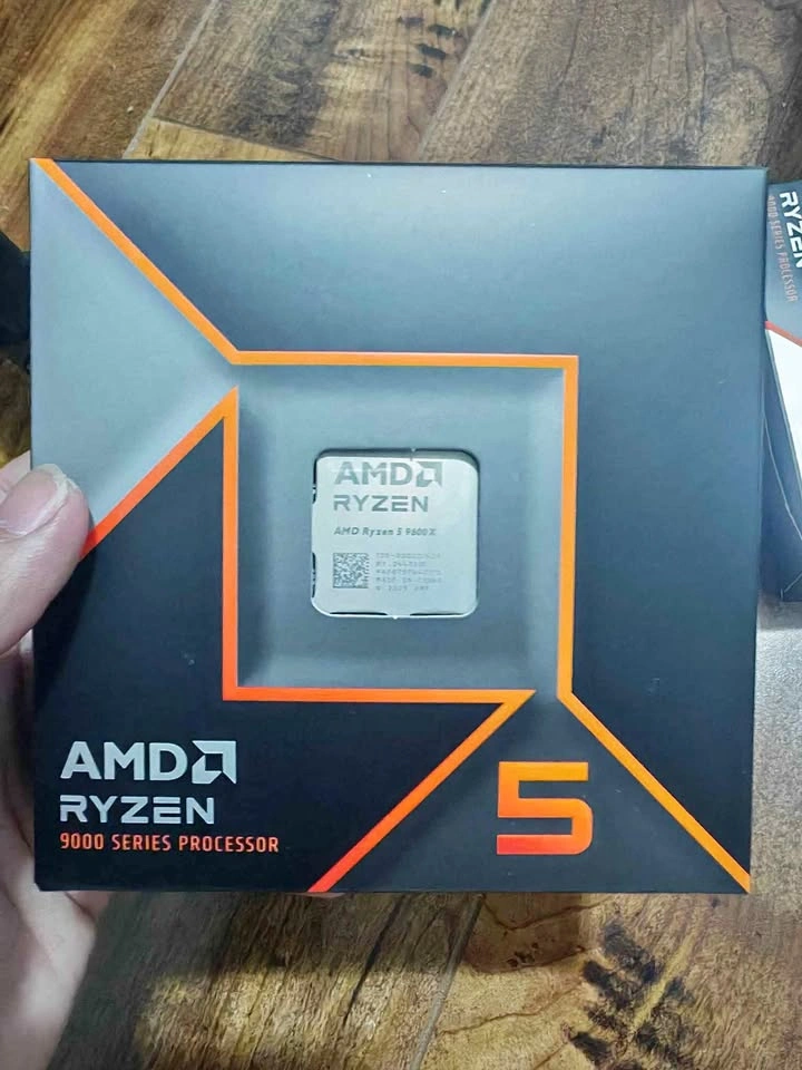 Ryzen 5 9600x CPU