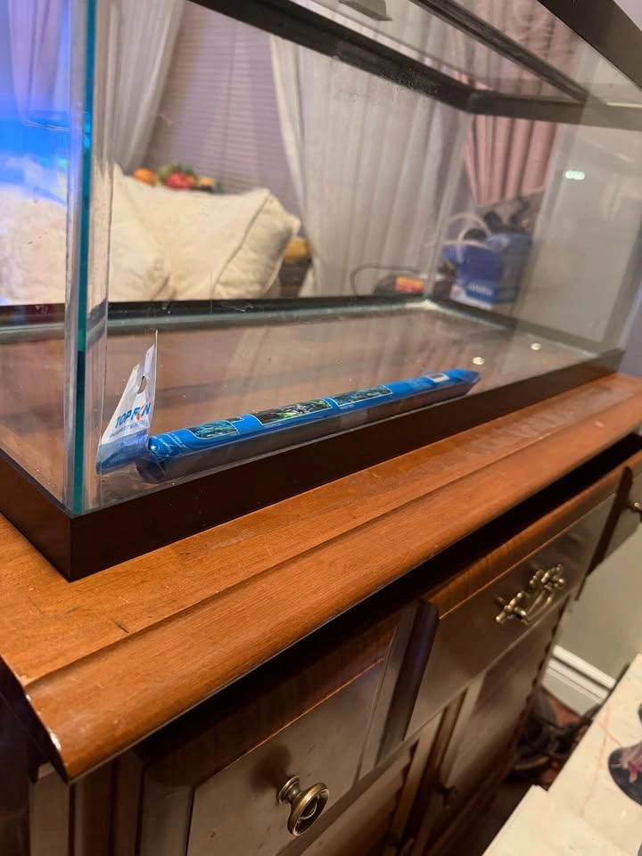 Aquarium with stand - 20gal - photo 2