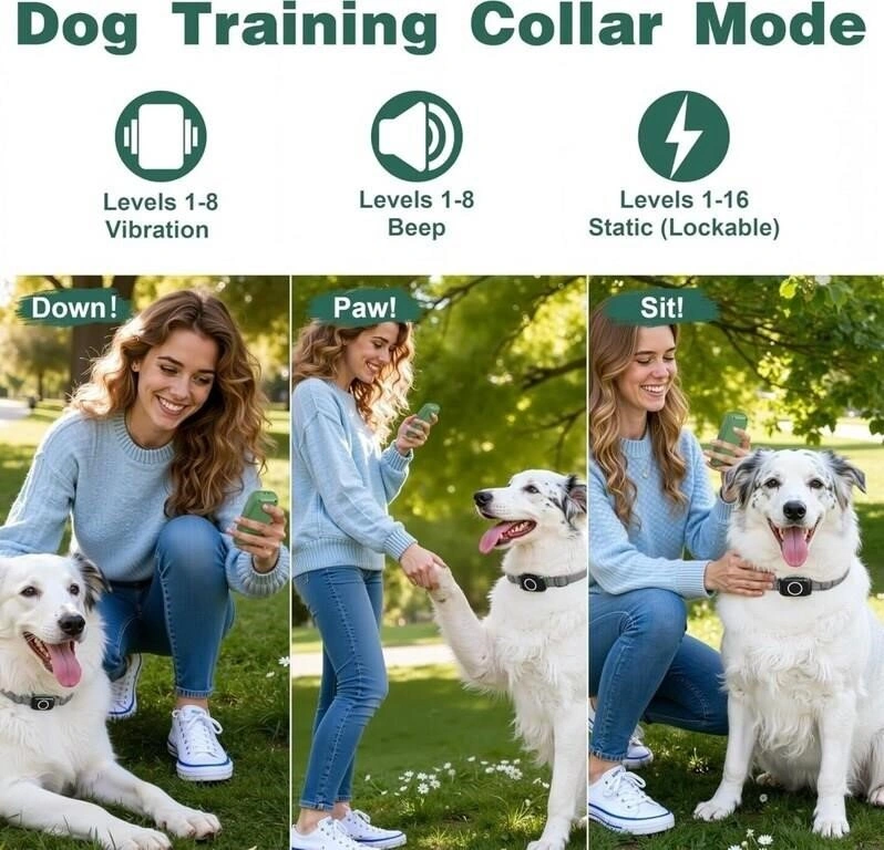 4-in-1 Wireless Dog Fence System - photo 3