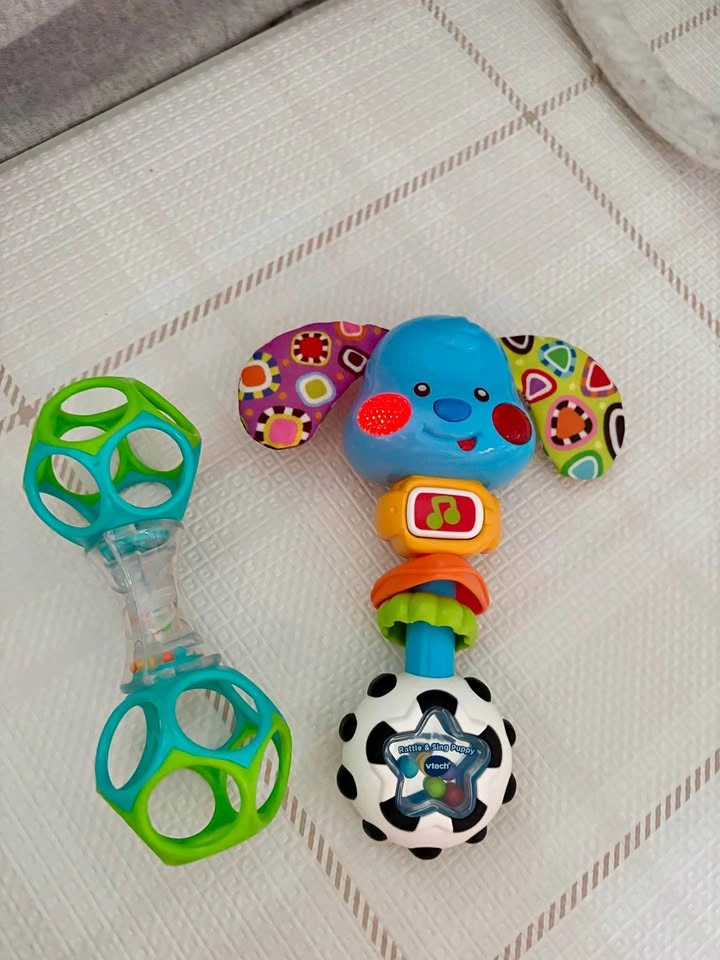 Vtech Rattle Sing Puppy and Oball Toy Set