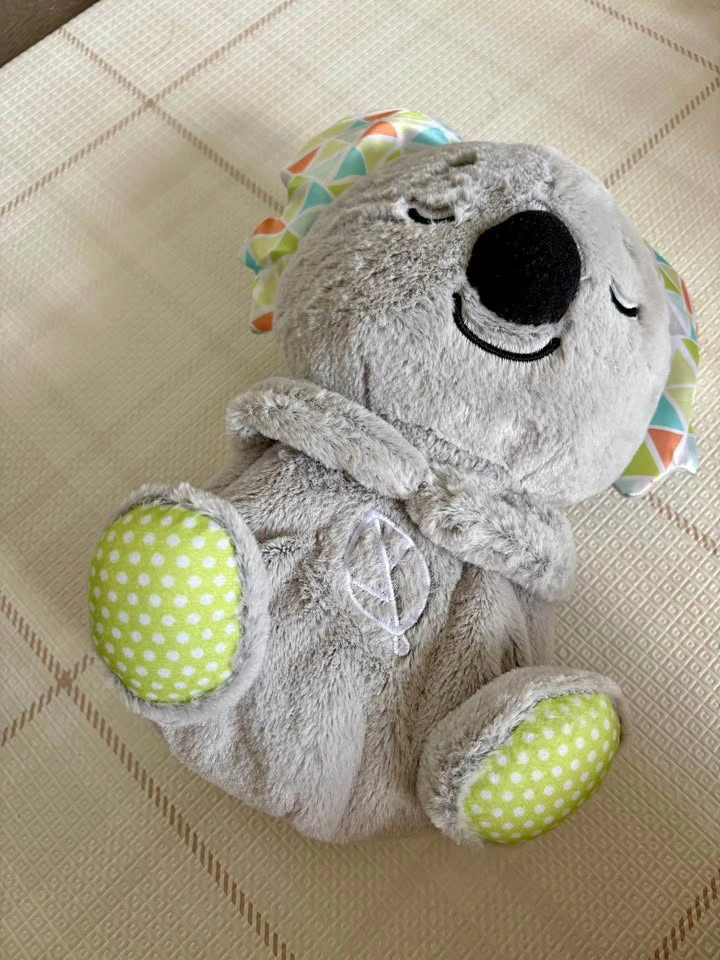 Fisher-Price Koala Soother Plush Toy