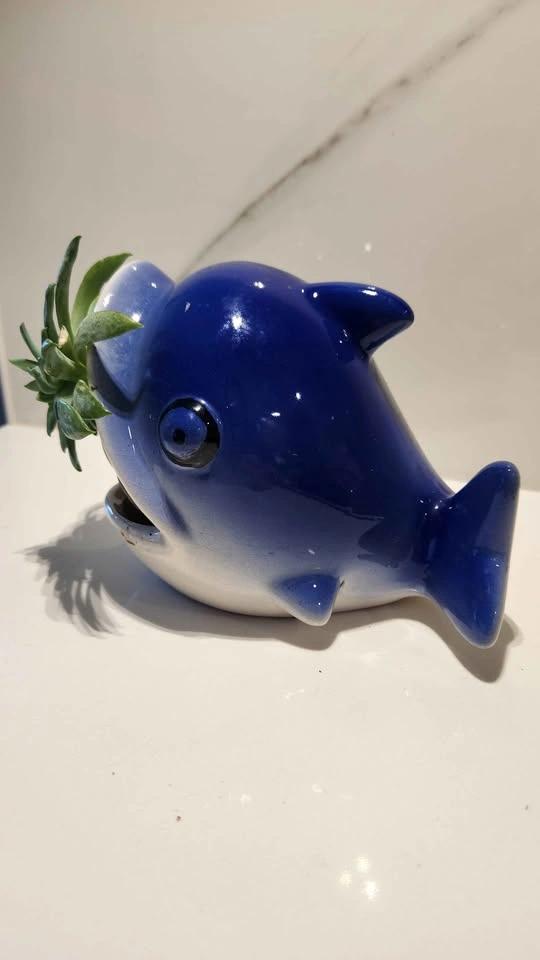 Dolphin upcycled planter with succulent - photo 2