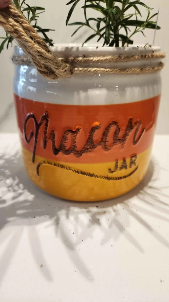 Upcycled Canister w/ Rosemary Plant - Yellow/Orange Stripes - photo 2