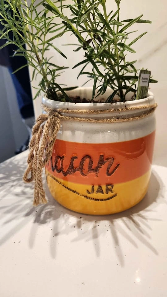 Upcycled Canister w/ Rosemary Plant - Yellow/Orange Stripes - photo 3