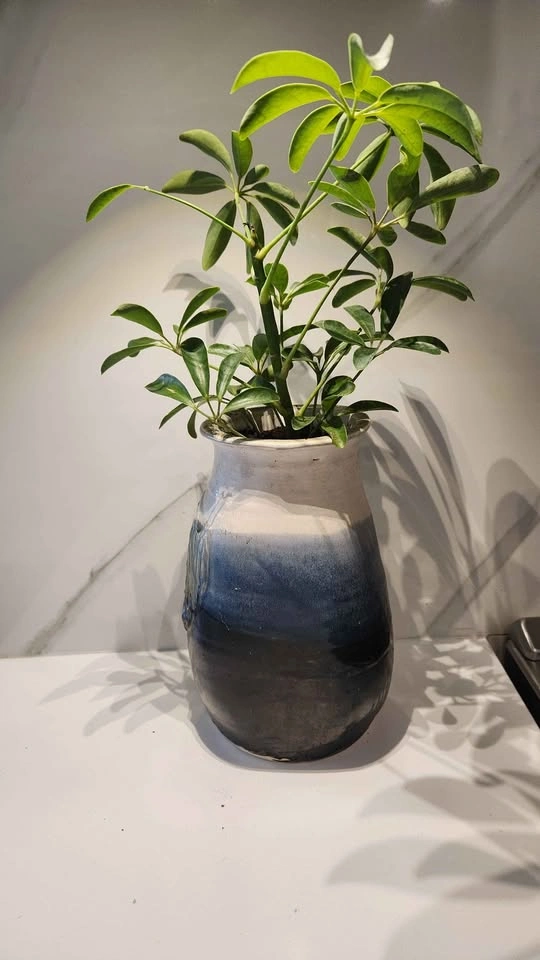 Upcycled Blue Pottery Vase with Plant - photo 3