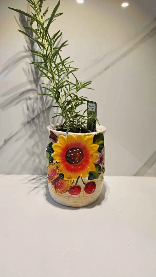 Upcycled Sunflower Canister with Rosemary Plant