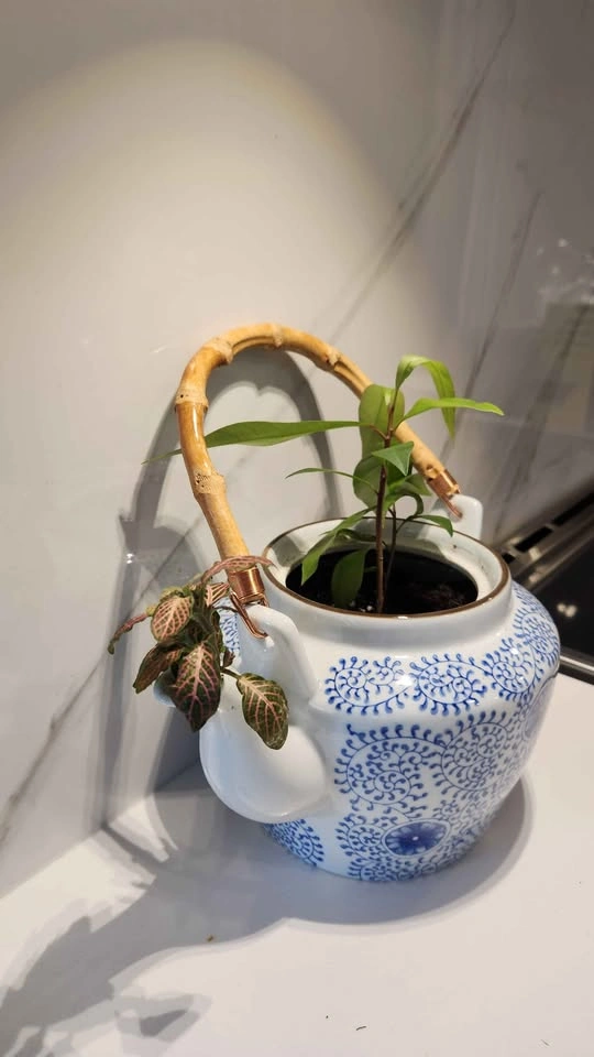 Upcycled teapot with plants - photo 2