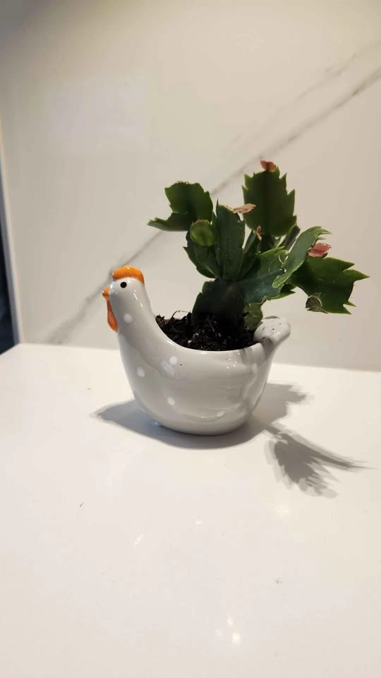 Hen upcycled planter with plant - photo 2