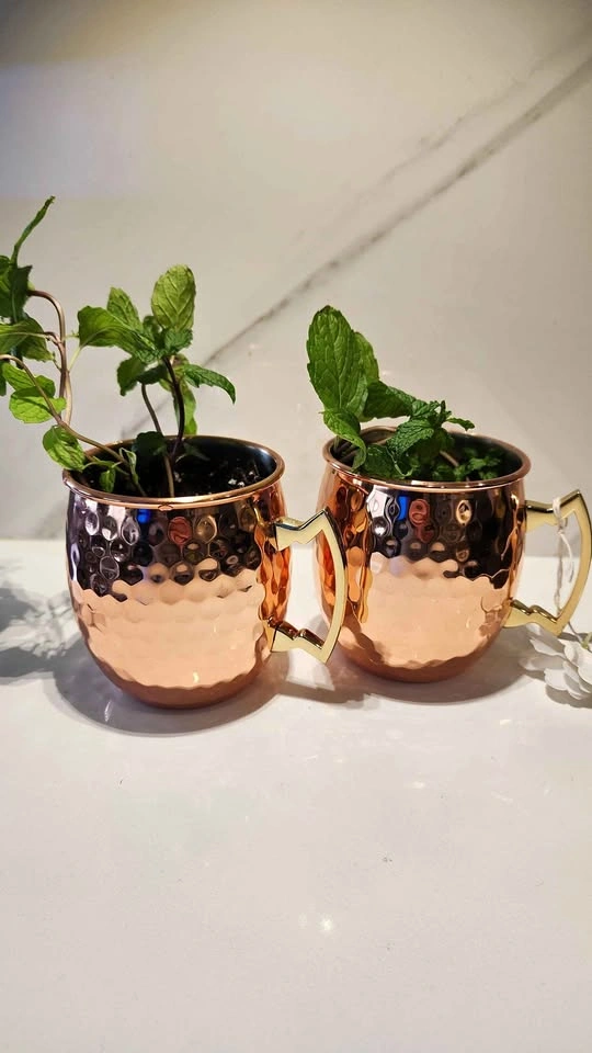 Copper mug planters with mint plant