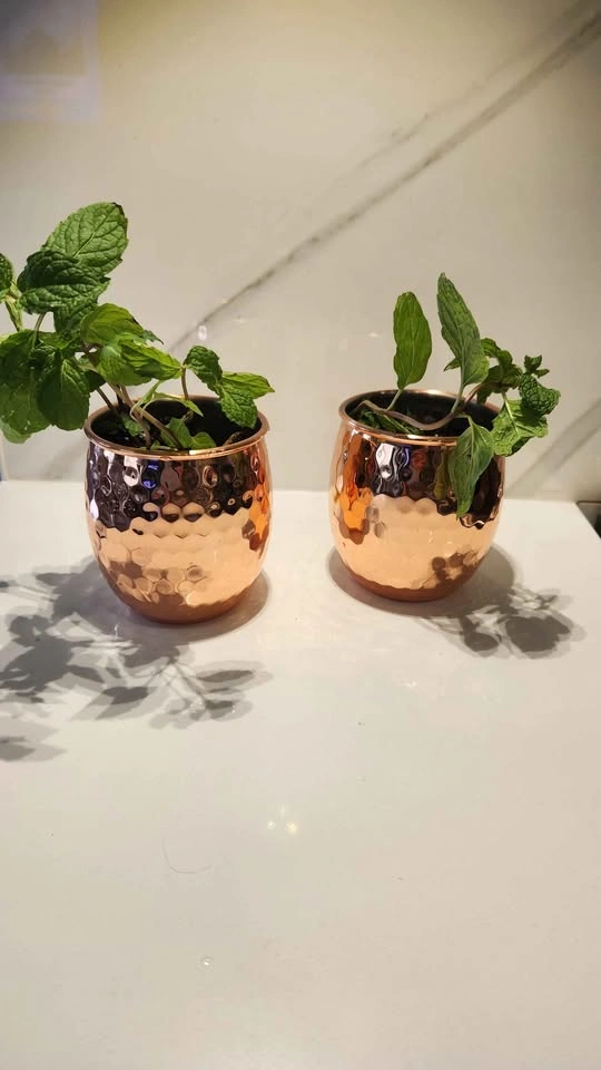 Copper mug planters with mint plant - photo 2