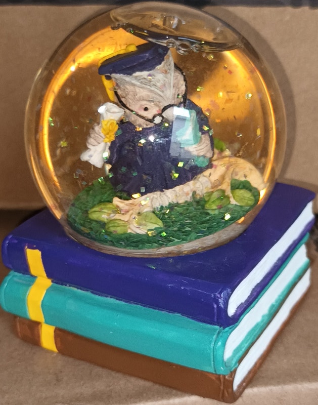 San Francisco Musical Box Owl Graduation Diploma Snow Globe